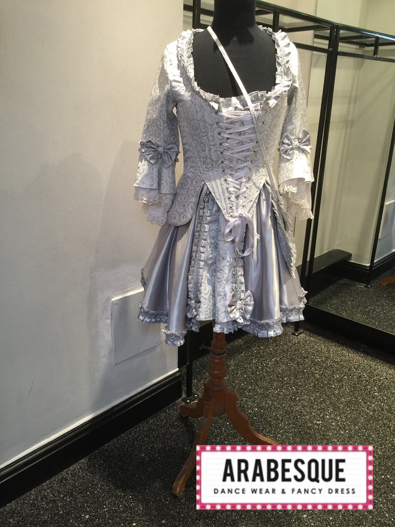 Marie Antoinette Silver Dress