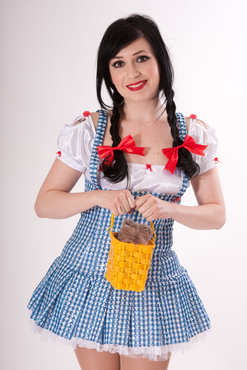Mini Dress Dorothy