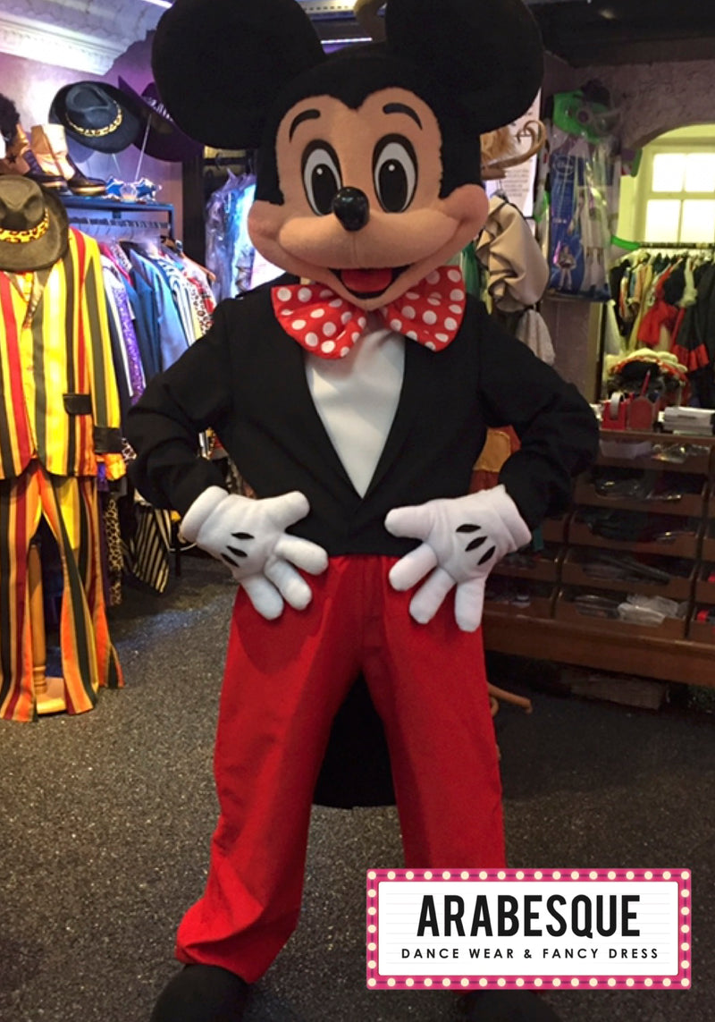 Micky Mouse Mascot Costume