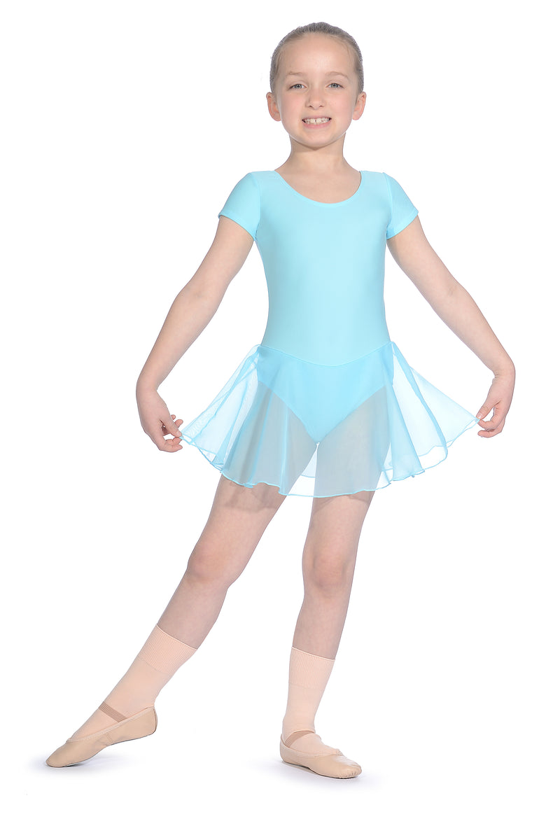 Roch Valley Leotard with attached skirt - aqua full length